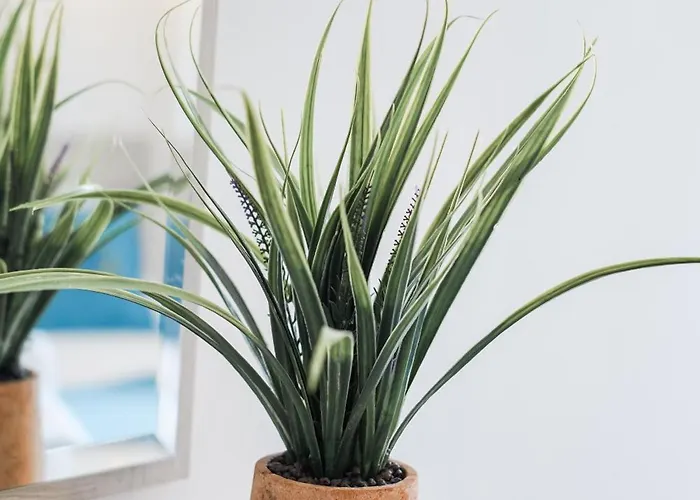 Relax Mea Hotel Sarandë