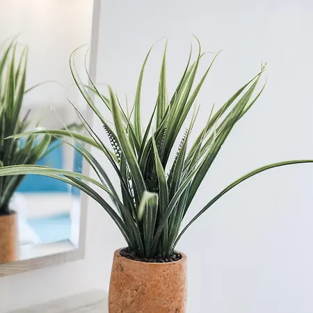 Relax Mea Hotel Sarandë